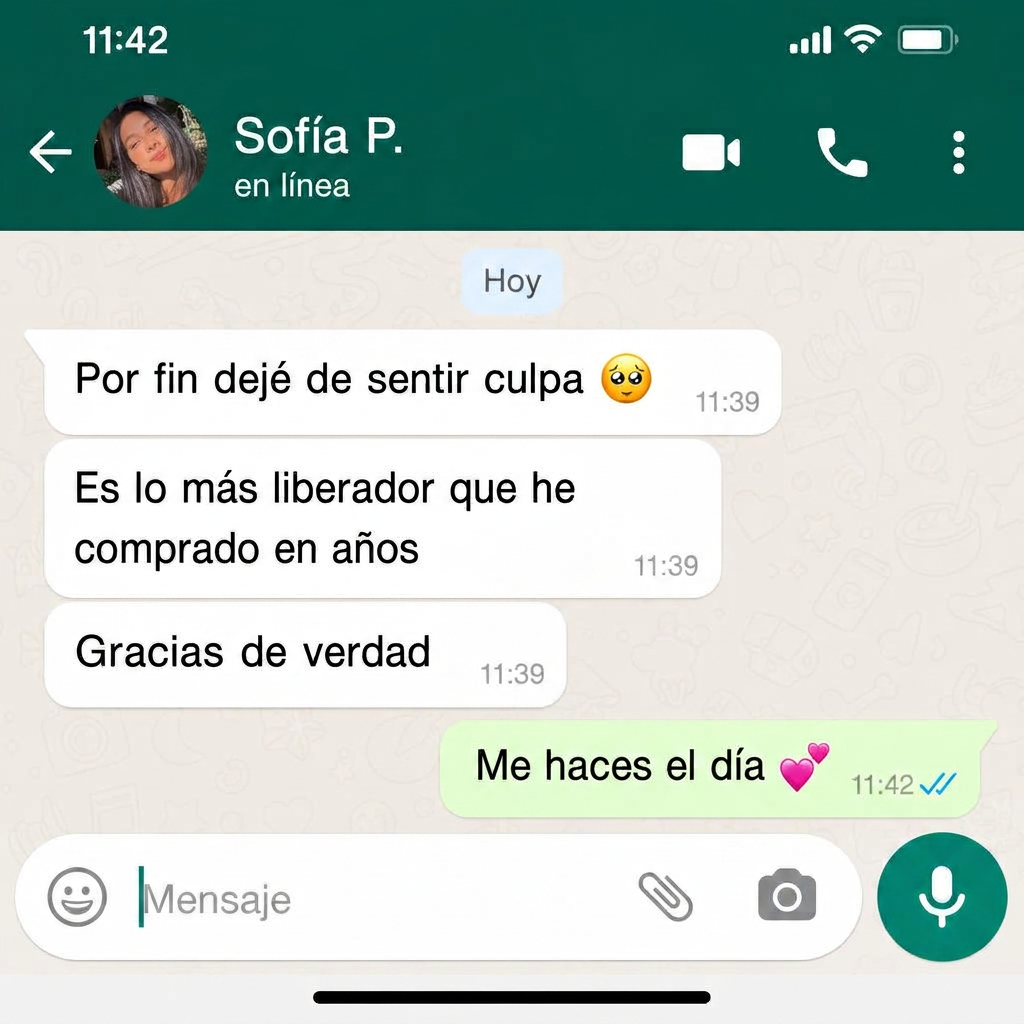 Conversación de WhatsApp con Sofía P.
